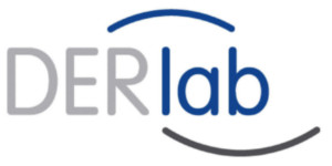 6-derlab